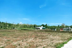 Trong vòng một năm qua, những thửa đất lớn có pháp lý đầy đủ giá vẫn không ngừng tăng. Ảnh: Ngô Bảo Tín