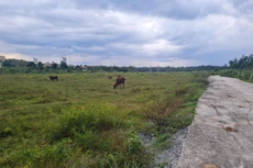 Trong những năm 2015-2019, hàng trăm dự án phân lô bán nền tại thị xã Bình Long vẫn được ra đời bằng cách thức hiến đất làm đường. Ảnh: Bảo Tín