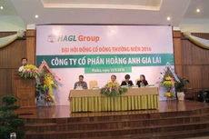 Ông Võ Trường Sơn - Tổng giám đốc HAGL đọc tờ trình tại ĐHCĐ. Ảnh: Đan Nguyên