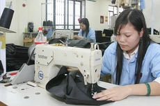 Đề xuất tăng thời gian làm thêm dựa trên nhiều kiến nghị của doanh nghiệp, đáp ứng nhu cầu lao động muốn làm thêm để tăng thu nhập. Ảnh: Tường Lâm