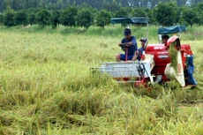 Thủ tướng Chính phủ vừa quyết định thành lập Tổ Chỉ đạo liên ngành về liên kết vùng Đồng bằng sông Cửu Long. Ảnh: Tường Lâm
