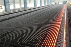 Hai nhà thầu ngoại muốn tư vấn quy hoạch thép Việt Nam