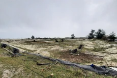 Mặt bằng thi công cảng Mỹ Thủy 