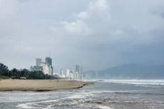 Đà Nẵng đang hướng đến xây dựng thành phố thân thiện với môi trường