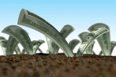 Thu 51.415 tỷ đồng từ tiền sử dụng đất. Ảnh Internet