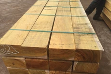 Đấu giá gỗ xẻ hộp các loại tại Khánh Hòa