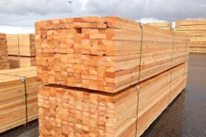 Đấu giá gỗ xẻ tại Kon Tum