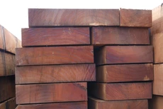 Đấu giá gỗ Hương tại Đắk Lắk