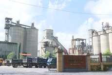 Lợi nhuận 9 tháng năm 2024 của Xi măng La Hiên giảm 41,6%