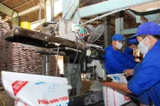 Gói thầu số 3 Mua sắm phân bón tại huyện Lâm Hà, tỉnh Lâm Đồng đã công bố nhà thầu trúng thầu nhưng bị hủy thầu do thay đổi mục tiêu, phạm vi đầu tư. Ảnh minh họa: Tiên Giang