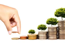 Nhựa Tiền Phong vượt 12% kế hoạch lợi nhuận năm 2024 sau 9 tháng