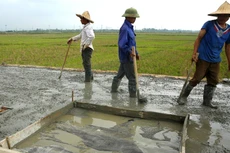 Hồ sơ mời thầu Gói thầu GT10 Thi công các hạng mục công trình Hợp phần 1 tại tỉnh Sơn La yêu cầu hợp đồng tương tự có giá trị tương đương 100% giá gói thầu. Ảnh minh họa: Nhã Chi