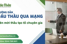 Hướng dẫn bên mời thầu thành lập tổ chuyên gia