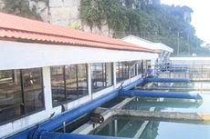 Thanh Hóa: Sau 3 lần đấu thầu, gói thầu 54 tỷ đồng về tay VIWASEEN