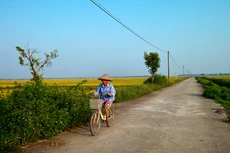 Trong số những gói thầu mà Công ty TNHH Tân Phước Thành trúng thầu, có nhiều gói thi công đường, hệ thống chiếu sáng... Ảnh: Nhã Chi