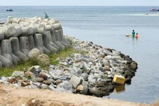 Gói thầu số 16 thuộc Dự án Nâng cấp hệ thống đê biển Trà Vinh (giai đoạn II) do Sở NN&PTNT tỉnh Trà Vinh mời thầu. Ảnh: Nhã Chi