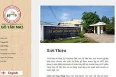 Công ty CP Tổng hợp Gỗ Tân Mai đang quản lý và sử dụng 89.523,8 m2 đất tại Đồng Nai. Ảnh: Nhã Chi