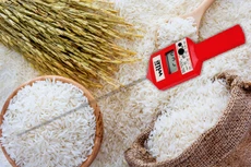 Nội dung chính của Gói thầu Mua sắm tài sản phục vụ công tác bảo quản lương thực dự trữ quốc gia là cung cấp 58 máy đo nồng độ khí N2; 34 xiên đo nhiệt độ, độ ẩm... Ảnh: Mai Quân