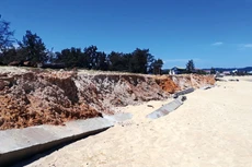 Tân Lập - nhà thầu có bước tiến dài tại Bình Định