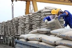 Điểm tin kế hoạch lựa chọn nhà thầu một số gói thầu lớn ngày 27/11