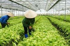 Việt Nam ưu tiên thu hút đầu tư công nghệ cao vào hạ tầng giao thông, năng lượng; công nghiệp chế tạo; nông nghiệp chất lượng cao…. Ảnh: Lê Tiên