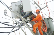 Trong 3 năm trở lại đây, Công ty CP Thiết bị công nghiệp Hữu Hồng trúng 133 gói thầu ngành điện. Ảnh: Lê Tiên