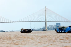 Cơ chế liên kết tốt sẽ giúp Đồng bằng sông Cửu Long hình thành nên những vùng sản xuất lớn dựa trên việc phát huy thế mạnh riêng có. Ảnh: Lê Tiên