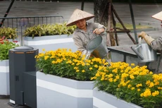 Gói thầu số 08 Hệ thống cây xanh, tiểu cảnh thuộc Dự án Cải tạo và mở rộng Viện Thổ nhưỡng Nông hóa - giai đoạn I sử dụng vốn ngân sách nhà nước. Ảnh: Nhã Chi