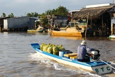 Một số địa phương đề xuất lựa chọn một số lĩnh vực ưu tiên liên kết như phát triển kết cấu hạ tầng chung, lĩnh vực nông, thủy sản có thế mạnh... Ảnh: Lê Tiên