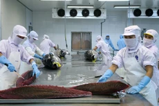 Việt Nam đứng thứ 5 trong các nền kinh tế có thặng dư thương mại lớn với Mỹ, sau Trung Quốc, EU, Mexico và Nhật Bản. Ảnh: Lê Tiên