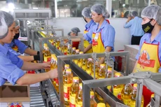 Sau 5 năm thực hiện Nghị quyết số 19, chất lượng môi trường kinh doanh và năng lực cạnh tranh quốc gia có cải thiện rõ nét. Ảnh: Lê Tiên