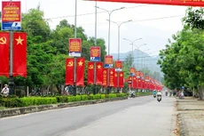 Ngày 2/12/2019, đấu giá quyền sử dụng 2 lô đất tại huyện Phú Vang, tỉnh Thừa Thiên Huế