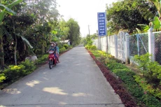 Ngày 16/12/2019, đấu giá quyền sử dụng 893,9 m2 đất tại huyện Phụng Hiệp, tỉnh Hậu Giang