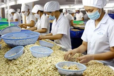 Ảnh chỉ mang tính minh họa. Nguồn Internet