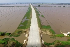 Tổng công ty Cửu Long đề nghị MB Chi nhánh An Phú khẩn trương và nghiêm túc thực hiện theo đúng cam kết bảo lãnh hoàn trả tạm ứng.. Ảnh chỉ mang tính minh họa. Nguồn Internet