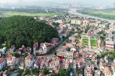 Ảnh chỉ mang tính minh họa. Nguồn Internet