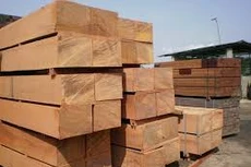 Ngày 12/11/2019, đấu giá tang vật, phương tiện vi phạm hành chính bị tịch thu tại tỉnh Khánh Hòa