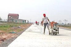 Ảnh chỉ mang tính minh họa. Nguồn Internet