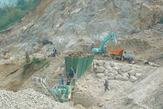 Ảnh chỉ mang tính minh họa. Nguồn Internet