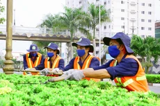 Ảnh chỉ mang tính minh họa. Nguồn Internet