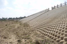 Ảnh chỉ mang tính minh họa. Nguồn Internet