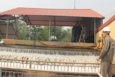 Ảnh chỉ mang tính minh họa. Nguồn Internet