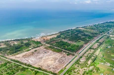 Ảnh chỉ mang tính minh họa. Nguồn Internet