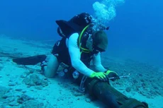 Ảnh chỉ mang tính minh họa. Nguồn Internet