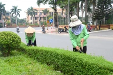 Ảnh chỉ mang tính minh họa. Nguồn Internet