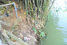 Ảnh chỉ mang tính minh họa. Nguồn Internet