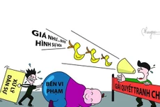 Ảnh chỉ mang tính minh họa. Nguồn Internet