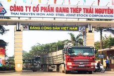 Ảnh chỉ mang tính minh họa. Nguồn Internet