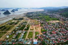 Ảnh chỉ mang tính minh họa. Nguồn Internet