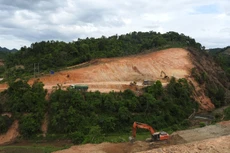 Ảnh chỉ mang tính minh họa. Nguồn Internet